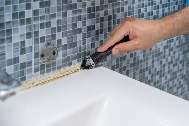 Reliable Cypress Landing, NC Mold Removal Solutions