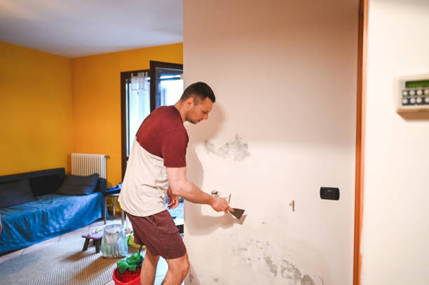Best Office Mold Removal Services  in Cypress Landing, NC